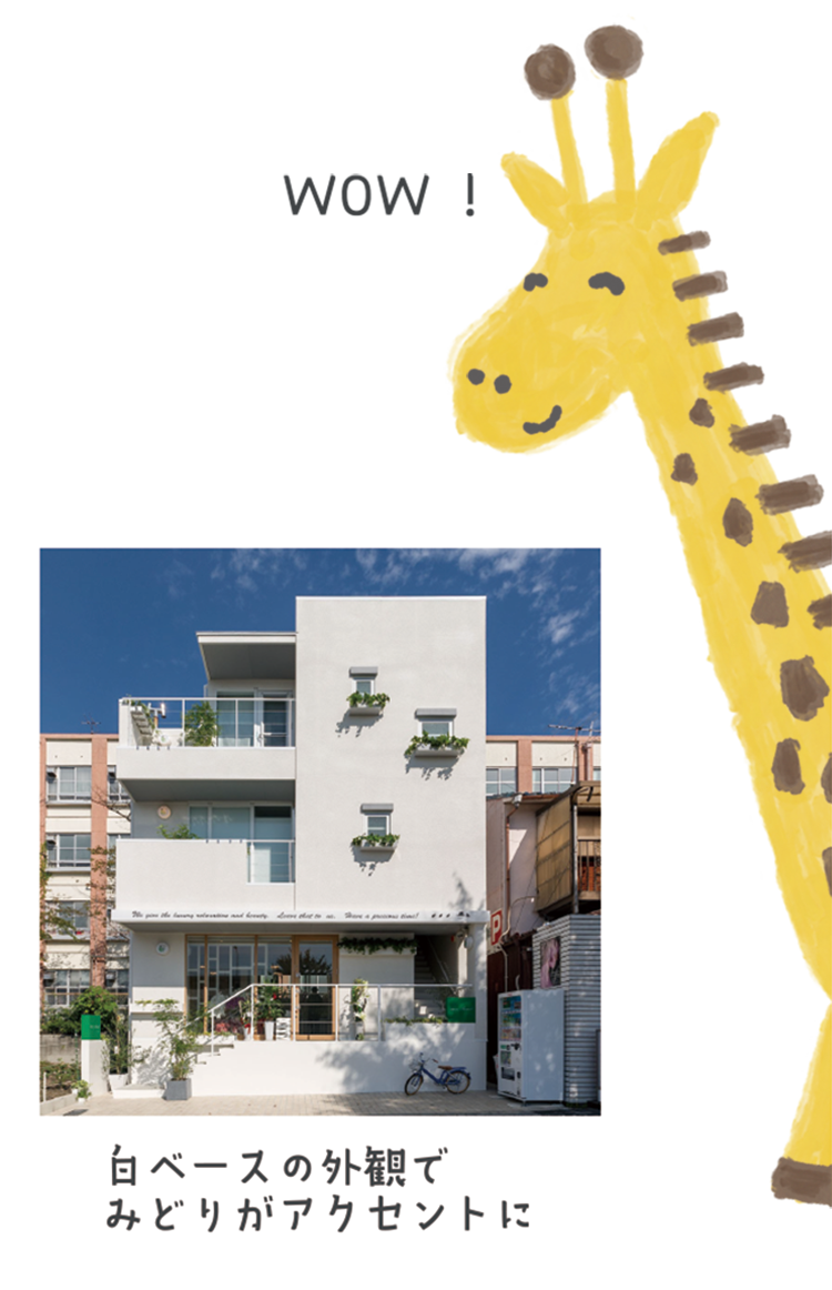 ヘアディティール｜ボギグラコンサルティング