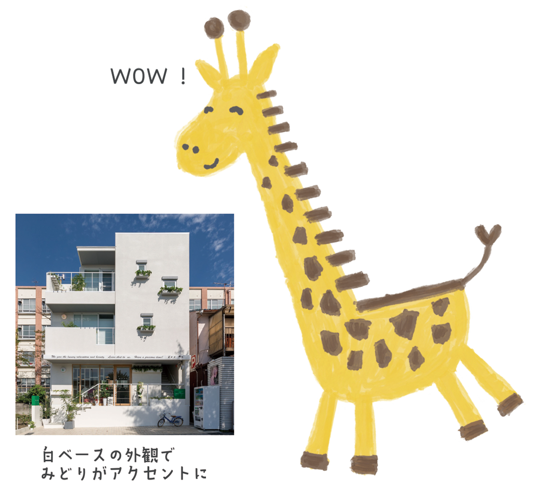 ヘアディティール｜ボギグラコンサルティング